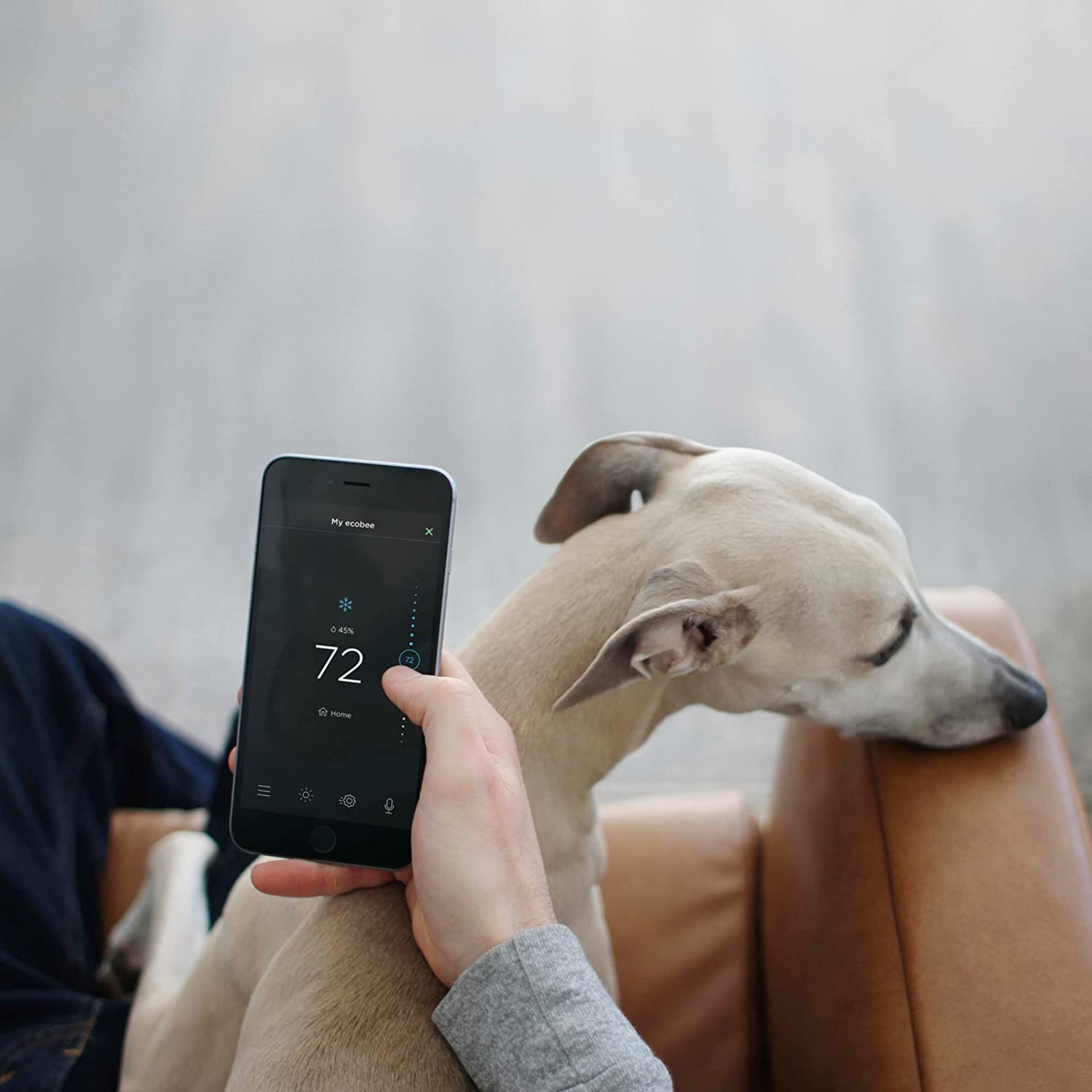 61zK2ymMIoL._AC_SL1500_ 61zK2ymMIoL._AC_SL1500_